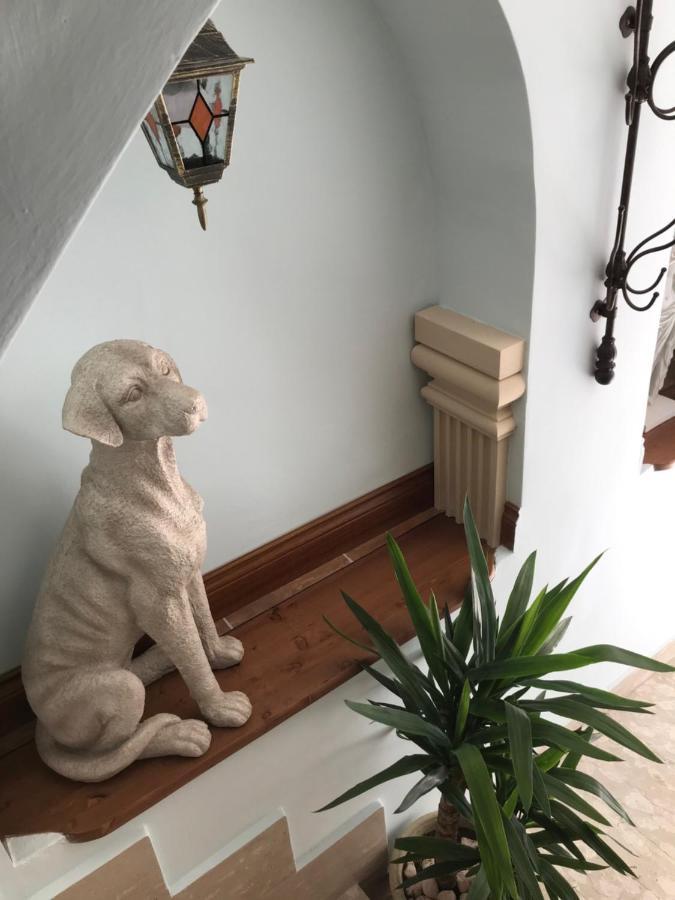 Lilly Panzió Sulmona Kültér fotó